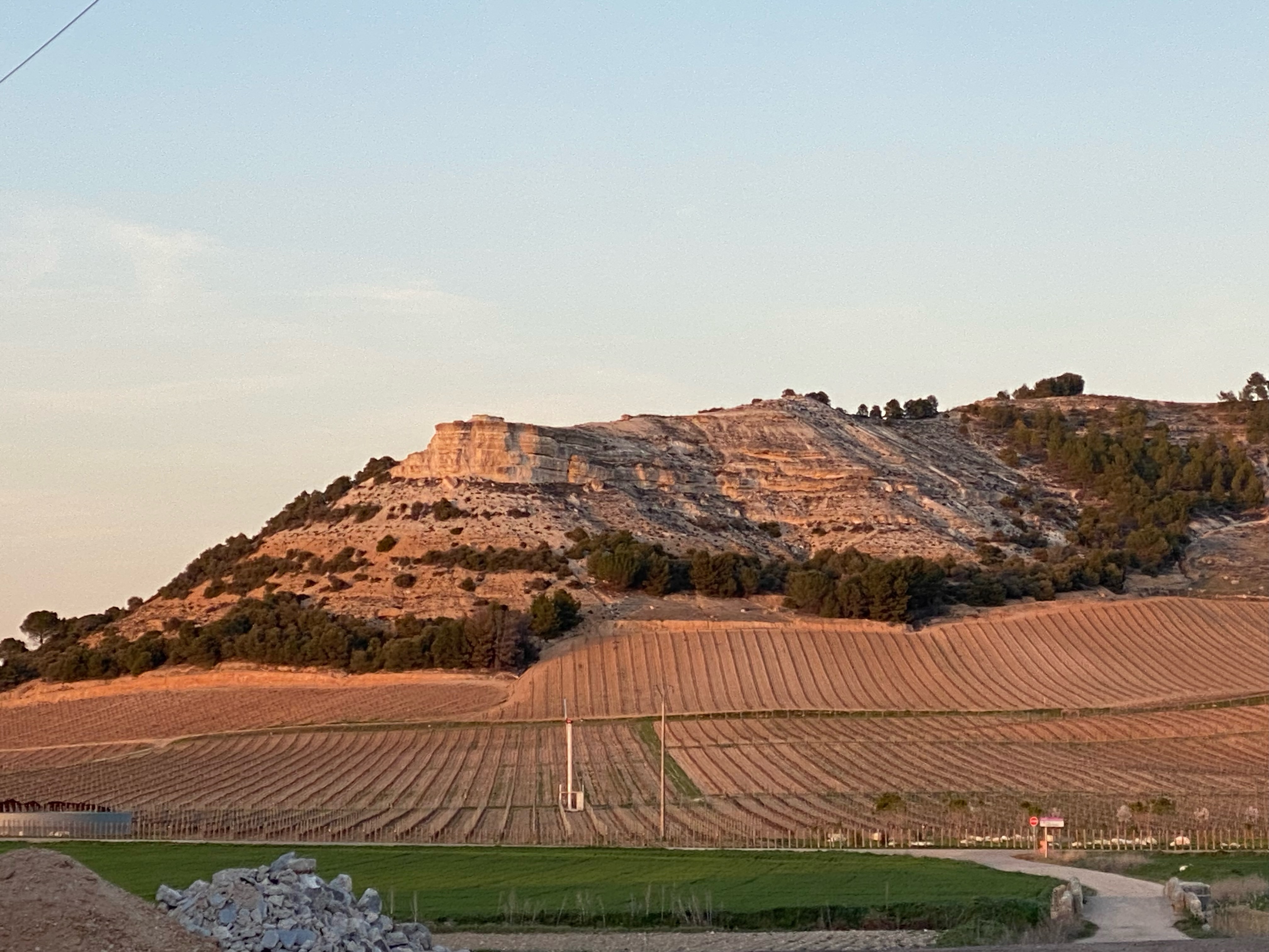 Ribera del Duero landscape